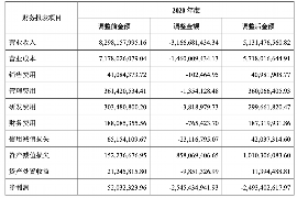 旌阳为什么选择专业追讨公司来处理您的债务纠纷？